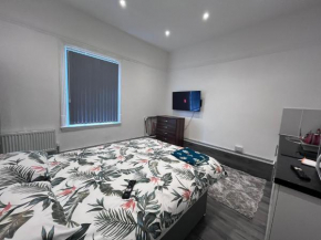 Studio Flat with Kitchenette